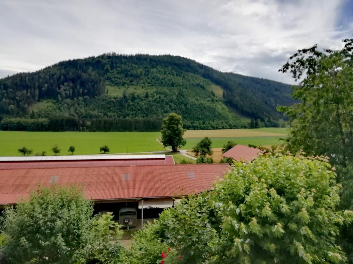 Ferienwohnung Erni Feldkirchen in Kärnten Exteriör bild